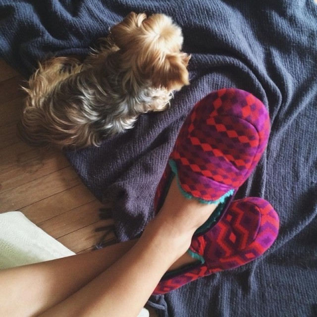 Copati za ženske Dwell Red - Chooze